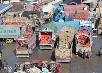 باشنده‌گان شهر کابل از افزایش قیمت پیاز شکایت دارند