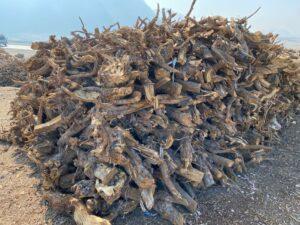 Kandaharis lament hike in firewood rates, poor-quality gas