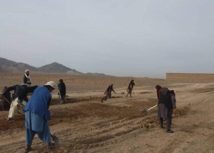 200 villagers hired in Ghazni’s Gilan in exchange for food