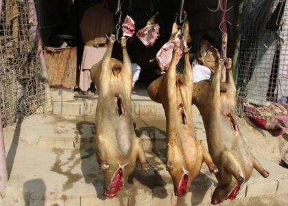 Zabul residents decry meat price hike