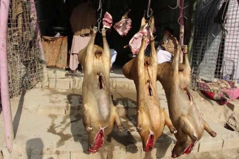 باشنده‌گان زابل از افزایش قیمت گوشت شکایت دارند