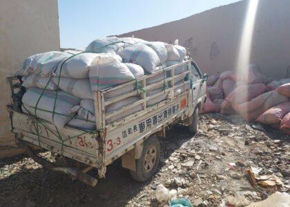 770 kg of cannabis plant seized in Uruzgan