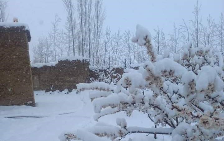 Snowfall cuts off some districts from Ghazni City