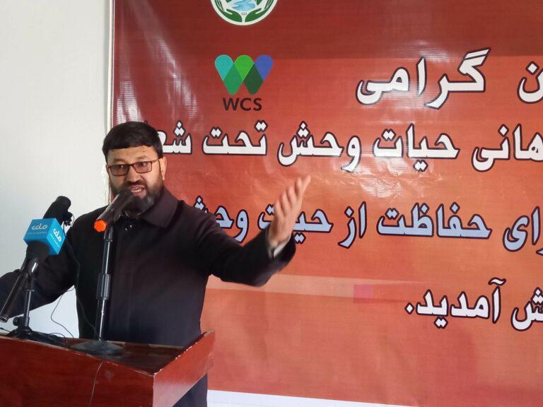 مسؤولین در بامیان: مردم باید از محیط زیست و حیات وحش حفاظت کنند