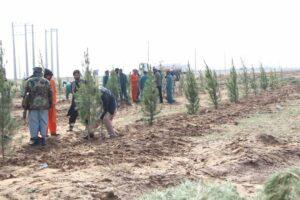 Work on creating second greenbelt launched in Herat