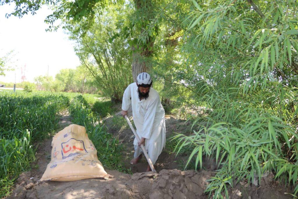 Helmand farmers eye bumper crops this season