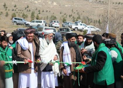 IEA leaders urge Afghans to partake in plantation drive