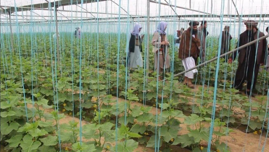 Agricultural complex worth $300,000 built in Kunduz