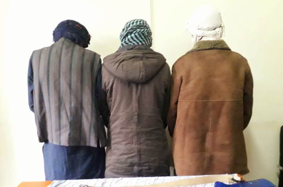 3 detained for violating animal-hunting ban in Bamyan