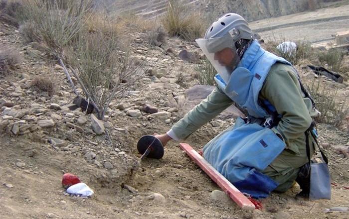 Over 100 Afghans suffer casualties from landmines monthly