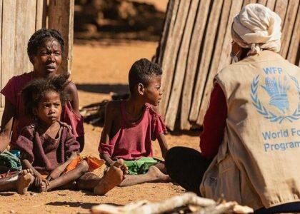 WFP projects 345.2mn to be food insecure globally in 2023