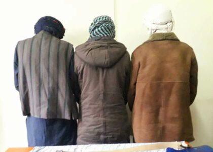 3 detained for violating animal-hunting ban in Bamyan