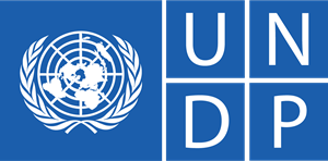 UNDP seeks $25m to support earthquake recovery in Herat