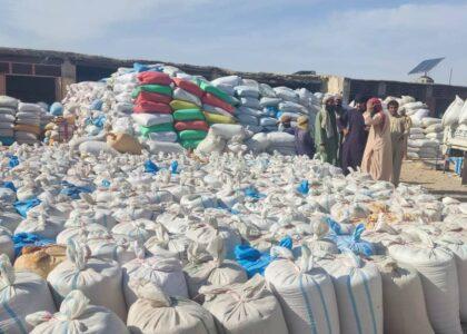 Bumper harvest: Wheat prices fall by 50pc in Farah