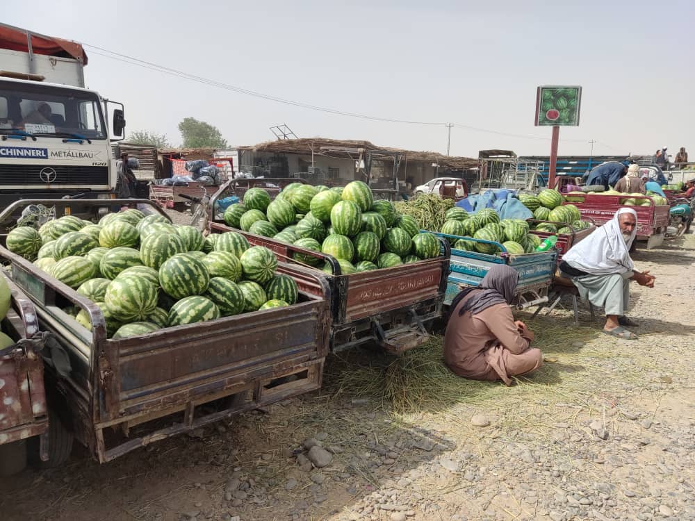 Farah farmers seek market for watermelon yield