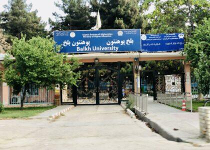 Turkish language department opens at Balkh University