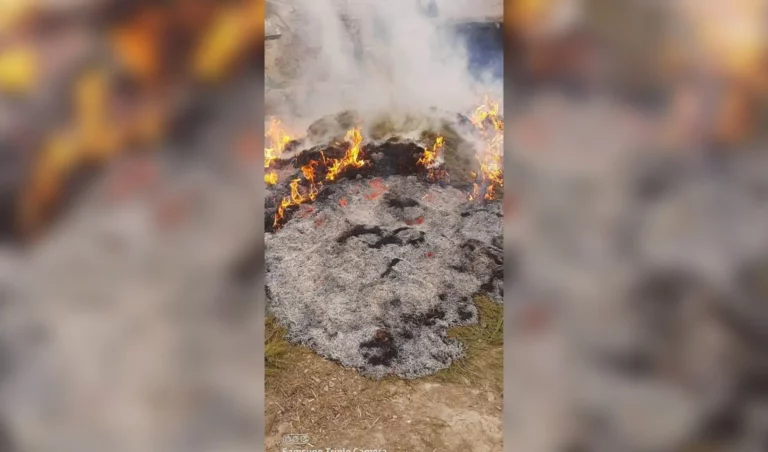 Drug production factory destroyed in Sar-i-Pul