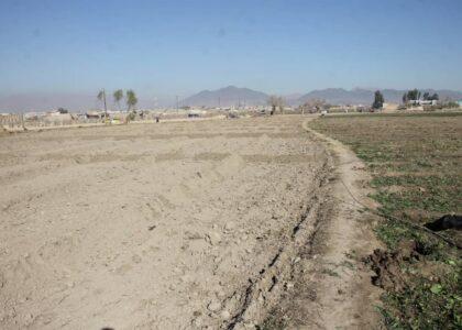 دهاقین قندهار: در زمینۀ زراعت عصری برای ما آموزش داده شود