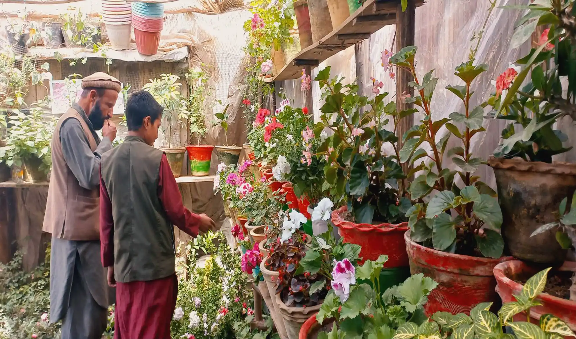 Flower business on the rise in Takhar, say residents
