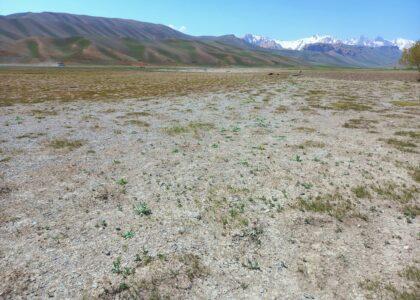 خشک‌سالی در بامیان؛ برخی دهاقین نتوانسته زمین‌های زراعتی‌شان را کشت کنند