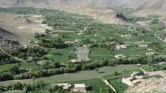 Woman commits suicide in Daikundi