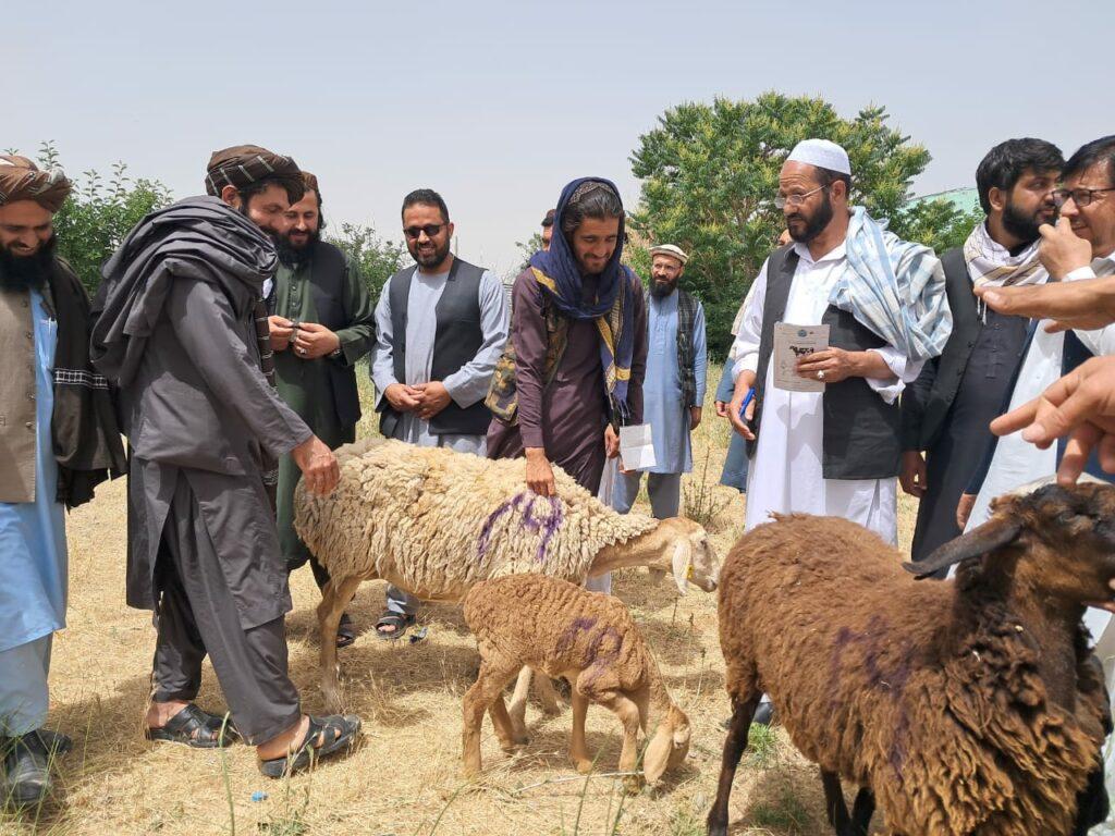 درېيو ولایتونو کې له سلګونو کسانو سره د خوراکي او غیرخوراکي توکو مرسته وشوه