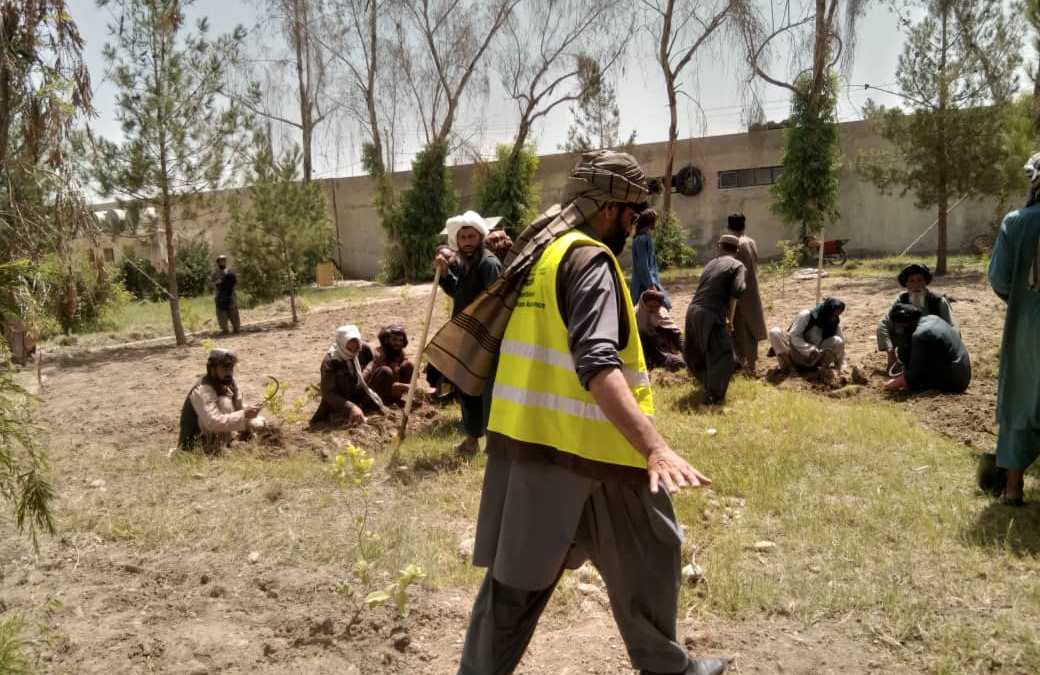 هلمند کې د خوړو نړۍوال پروګرام څه باندې درې زره کسانو ته د کار زمینه برابره کړې