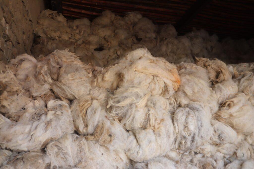 Kandahar traders want ban on wool export lifted