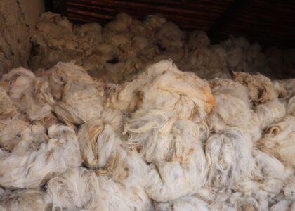 Kandahar traders want ban on wool export lifted