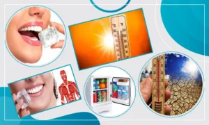 Avoid using plastic containers in refrigerator: Experts