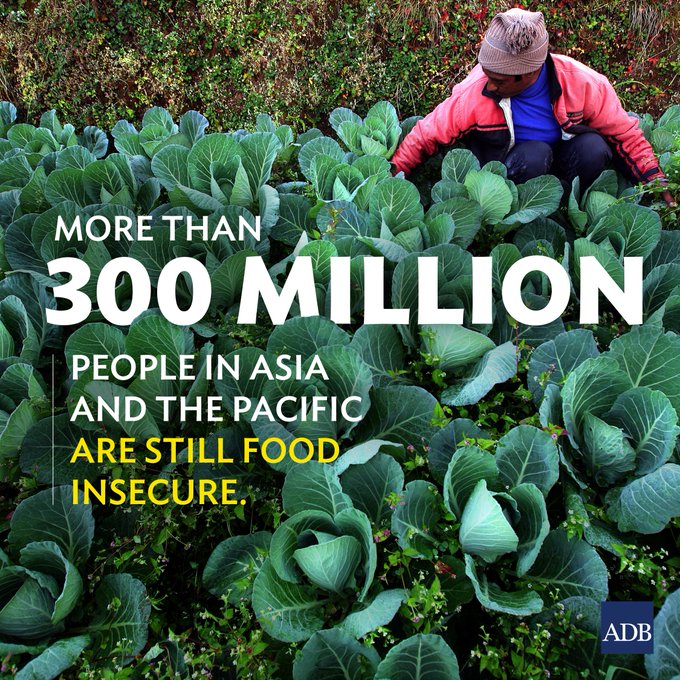 Over 300 million people in Asia suffer from food insecurity: ADB
