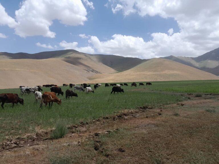 Hundreds acres of state land recovered in Badakhshan