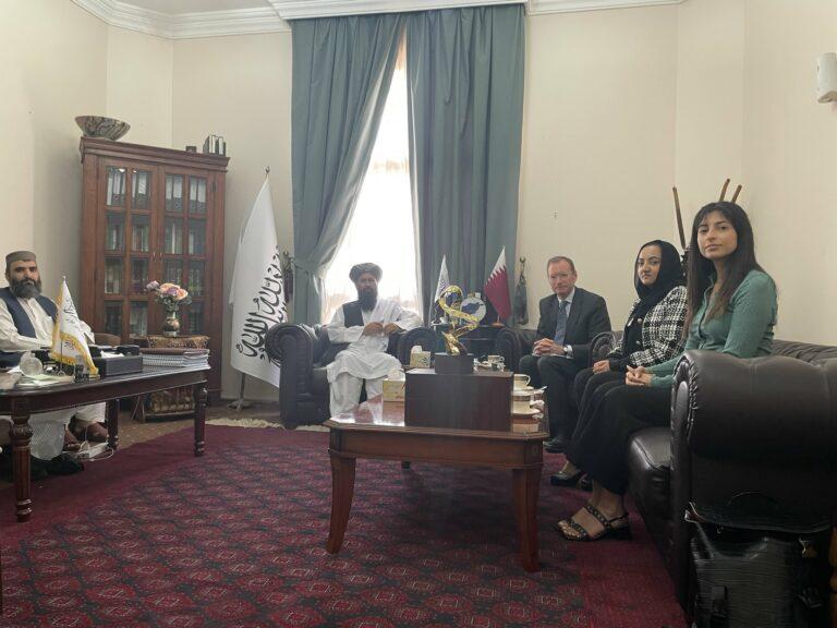 نعیم وردک با شارژادفیر بریتانیا در مورد مسایل افغانستان گفت‌وگو کرده‌است