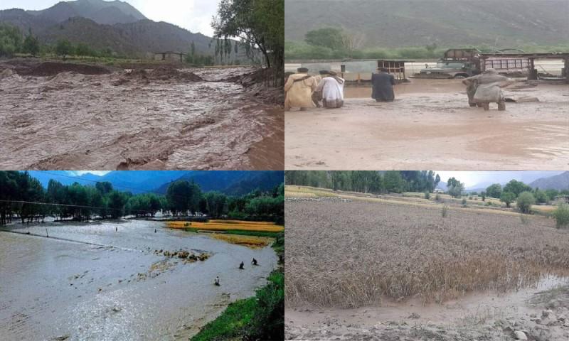 سیلاب‌ها در لوگر حدود یک هزار جریب زمین زراعتی را تخریب کرده‌است
