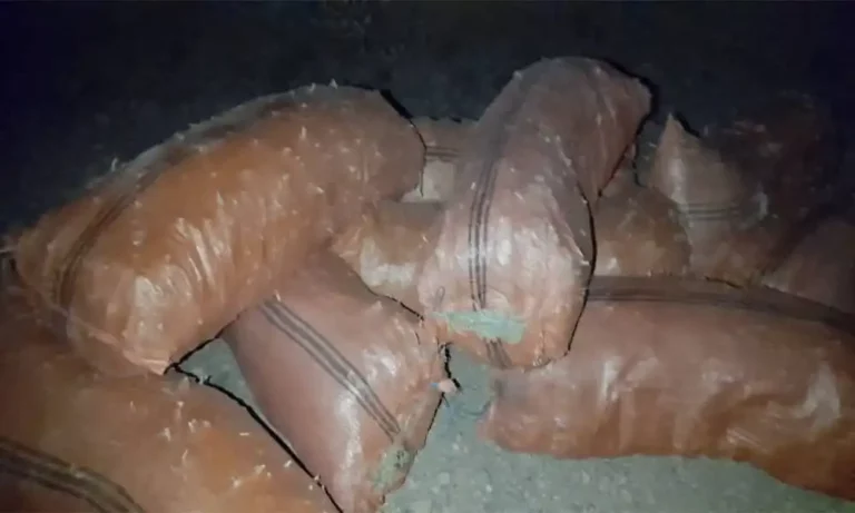 1,000kg ephedra plant recovered, destroyed in Farah