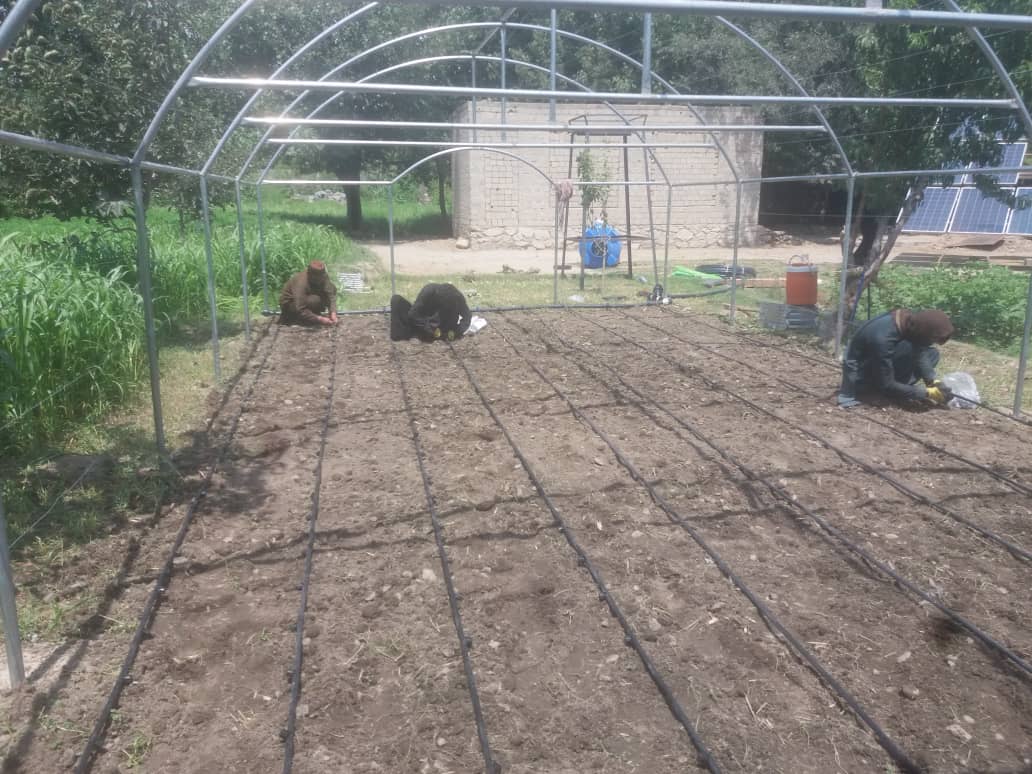 Dozens of green houses being built for women in Laghman