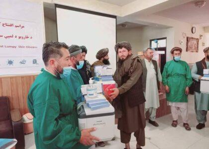 کمپاین تطبیق واکسین لمپی‌سکین در غور آغاز شد