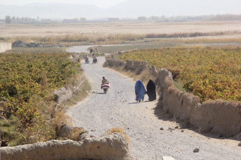یک زن در قندهار خودکشی کرد