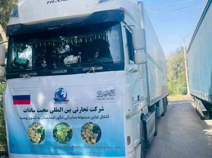 In a first, grapes exported to Russia from Afghanistan