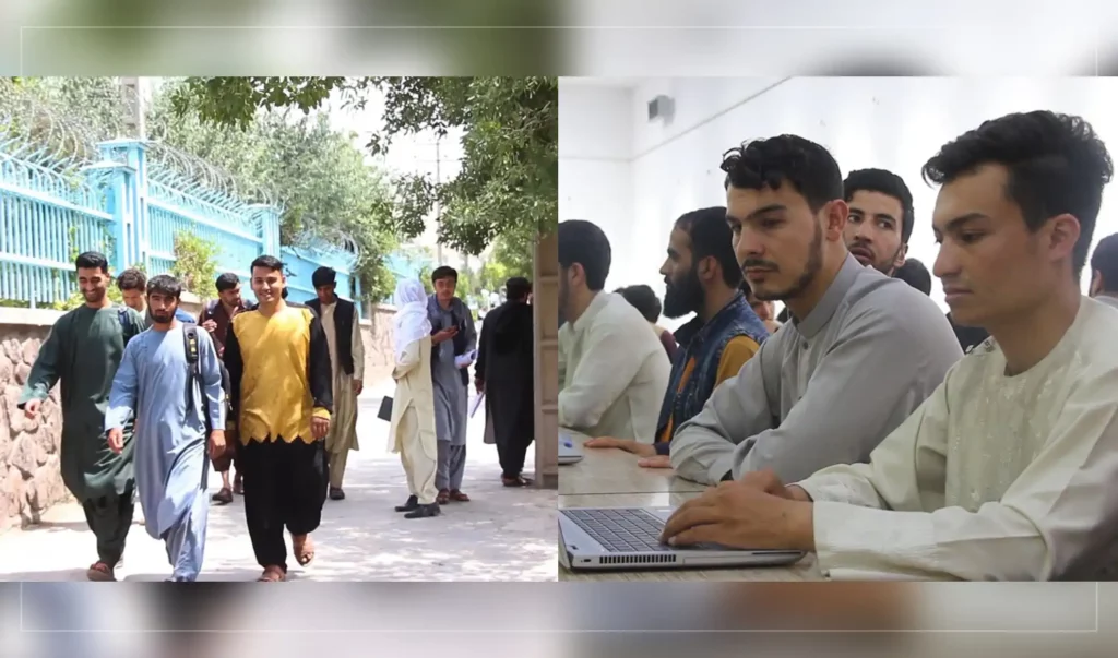 برخی جوانان هرات: حکومت با ایجاد فرصت‌های کاری از رفتن جوانان به خارج از کشور جلوگیری کند