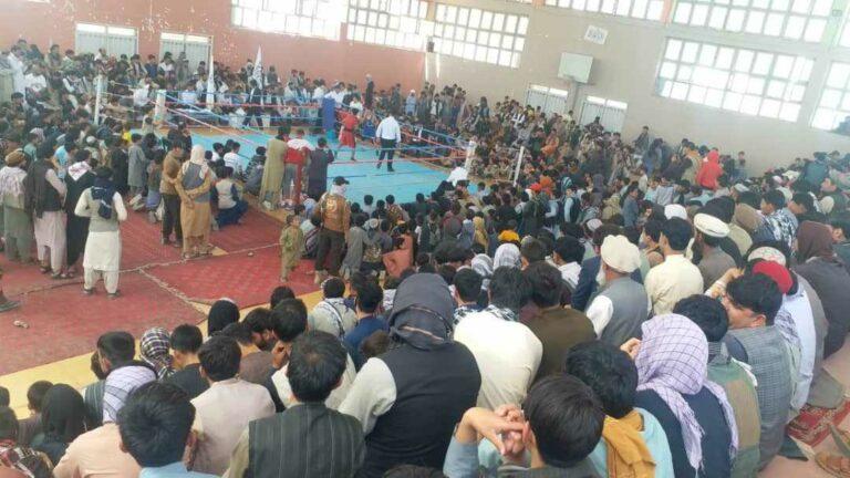غزني کې د خپلواکۍ په مناسبت د کیک بوکسنګ سیالۍ تر سره شوې
