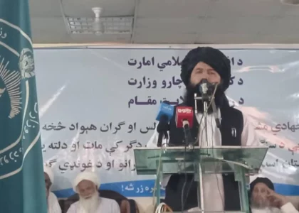 Students will no longer be used for political purposes: Nadeem