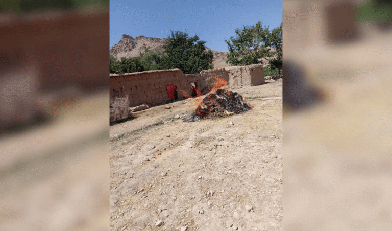 13 narcotics producing factories destroyed in Uruzgan