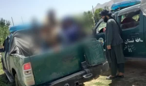 اروزګان کې د کلدارو راکړې ورکړې په تور ۱۸ هټۍوال نیول شوي