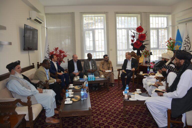 Aid organizations pocket 80pc humanitarian assistance: Haqqani
