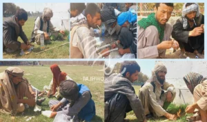 Growing population of addicts worries Takhar residents