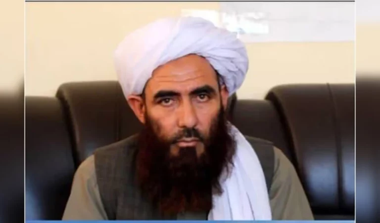 رئیس معادن غور: طی دو سال گذشته ۱۸۰ معدن در این ولایت ثبت شده‌است