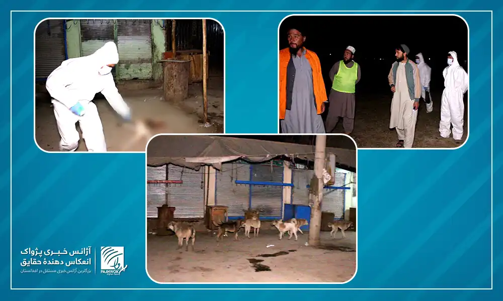 Stray dogs’ elimination campaign launched in Takhar