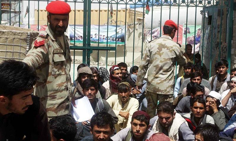 Over 630 undocumented Afghans held in Peshawar