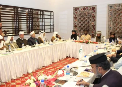 All Muslims responsible to help establish Islamic system: Hanafi